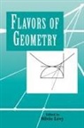 Silvio Levy, Silvio Levy - Flavors of Geometry