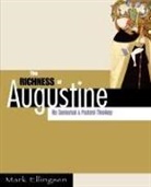 Mark Ellingsen - The Richness Of Augustine