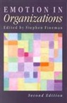 Stephen Fineman, Stephen Fineman - Emotion in Organizations