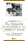 Gray, Dave Gray, Murray Gray, Richard Gray, Robinson, Owen Robinson... - A Companion to Literature and Culture of the American South