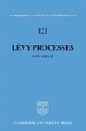 Jean Bertoin, Jean (Laboratoire de Probabilites Bertoin, Bertoin Jean, Bela Bollobas - Levy Processes