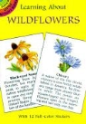 Activity Books, Dorothy Barlowe, Dot Barlowe - Learning About Wildflowers