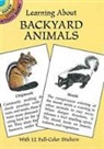 Activity Books, Dorothy Barlowe, Sy Barlowe - Learning About Backyard Animals