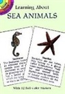 Activity Books, Sy Barlowe, Sea Life - Learning About Sea Animals