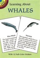 Activity Books, Dorothy Barlowe, Sy Barlowe, Richard Bonson - Learning About Whales