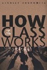 Stanley Aronowitz, Aronowitz Stanley - How Class Works