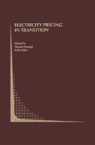 FARUQUI, Ahmad Faruqui, Eakin, Eakin, Kelly Eakin, Ahma Faruqui... - Electricity Pricing in Transition