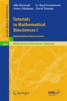 All Borisyuk, Alla Borisyuk, G Bar Ermentrout, G Bard Ermentrout, G. Bard Ermentrout, Avner Friedman... - Tutorials in Mathematical Biosciences - 1: Tutorials in Mathematical Biosciences 1