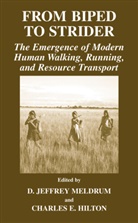 E Hilton, E Hilton, Charles E. Hilton, Jeffrey Meldrum, D Jeffrey Meldrum, D. Jeffrey Meldrum... - From Biped to Strider