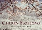 Jake Rajs, Jake Rajs - Cherry Blossoms