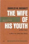 Charles W. Chesnutt, Charles Waddell Chesnutt, Clyde D. De Land - Wife of His Youth and Other Stories