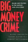 Kitty Calavita, Kitty Pontell Calavita, Calavita Kitty, Calavita/Pontell, Henry N. Pontell, Pontell Henry N.... - Big Money Crime
