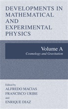 Enrique Diaz, Alfredo Macias, Francisc Uribe, Francisco Uribe - Developments in Mathematical and Experimental Physics