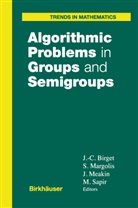 Jean-Camille Birget, Stuar Margolis, Stuart Margolis, John Meakin, John Meakin et al, Mark Sapir... - Algorithmic Problems in Groups and Semigroups
