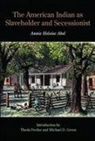 Annie Heloise Abel - The American Indian as Slaveholder and Secessionist