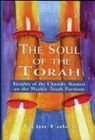 Victor Cohen - Soul of the Torah