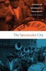 Daniel M Goldstein, Daniel M. Goldstein - Spectacular City