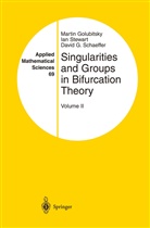 Stewart Ann, Marti Golubitsky, Martin Golubitsky, David Schaeffer, David G Schaeffer, David G. Schaeffer... - Singularities and Groups in Bifurcation Theory