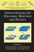 Evgen Gusev, Evgeni Gusev, Jan K Labanowski et al, Anatoli Korkin, Jan K Labanowski, Jan K. Labanowski... - Nanotechnology for Electronic Materials and Devices