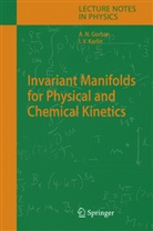 A. N. Gorban, Alexander Gorban, Alexander N Gorban, Alexander N. Gorban, I. V. Karlin, Iliya V Karlin... - Invariant Manifolds for Physical and Chemical Kinetics