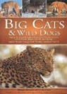 Jen Green, Rhonda Klevansky, Mark O'Shea, Barbara Taylor - Big Cats and Wild Dogs