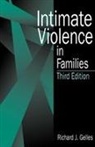 Gelles, Richard J. Gelles, Richard J. Cornell Gelles, GELLES RICHARD J CORNELL CLAIRE, Gelles Richard J. - Intimate Violence in Families