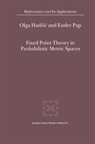 Hadzic, O Hadzic, O. Hadzic, E Pap, E. Pap, Endre Pap - Fixed Point Theory in Probabilistic Metric Spaces