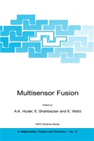 Anthony K. Hyder, Anthony K. Hyder, Shahbazian, E Shahbazian, E. Shahbazian, E Waltz... - Multisensor Fusion, 2 Bde.