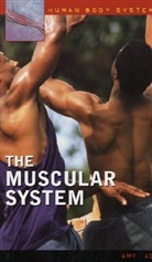 Amy Adams, Adams Amy - The Muscular System