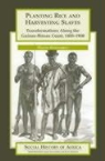 Hawthorne, Walter Hawthorne - Planting rice and harvesting slaves