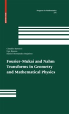 CLAUDI BARTOCCI, Claudio Bartocci, Ug Bruzzo, Ugo Bruzzo, Daniel Hernandez Ruiperez, Hernández Ruipérez... - Fourier-Mukai and Nahm Transforms in Geometry and Mathematical Physics