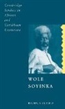 Biodun Jeyifo, Abiola Irele - Wole Soyinka: History Politics and Colonialism
