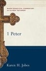 Joshua Jipp, Karen H. Jobes, Robert Yarbrough, Joshua Jipp, Robert Stein, Robert Yarbrough - 1 Peter