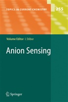 Ivan Stibor - Anion Sensing