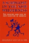 Frederic Cople Jaher, Jaher Frederic Cople - A Scapegoat in the New Wilderness