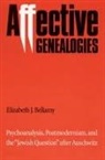 Elizabeth J Bellamy, Elizabeth J. Bellamy - Affective Genealogies