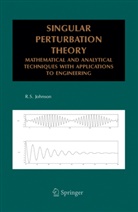 R S Johnson, R. Johnson, R. S. Johnson, R.S. Johnson, Robin S. Johnson - Singular Perturbation Theory