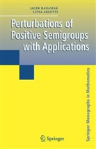 Luisa Arlotti, Jace Banasiak, Jacek Banasiak, University of Udine, Of Udine University of Udine - Perturbations of Positive Semigroups with Applications