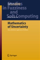 Hans Bandemer - Mathematics of Uncertainty