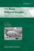 P Lutz, P L Lutz, P. L. Lutz, P.L. Lutz, Peter L. Lutz, G Nilsson... - The Brain Without Oxygen