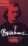 David Brodbeck, David Lee Brodbeck, Julian Rushton - Brahms