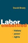 David Brody - Labor Embattled
