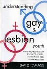 David Campos, Campos David - Understanding Gay and Lesbian Youth