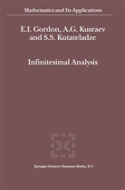 E Gordon, E I Gordon, E. I. Gordon, E.I. Gordon, A Kusraev, A G Kusraev... - Infinitesimal Analysis