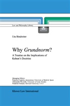 Uta Bindreiter - Why Grundnorm?