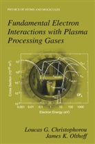 Loucas Christophorou, Loucas G Christophorou, Loucas G. Christophorou, James K Olthoff, James K. Olthoff - Fundamental Electron Interactions with Plasma Processing Gases