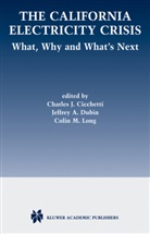 Charles Cicchetti, Charles J Cicchetti, Charles J. Cicchetti, Jeffrey Dubin, Jeffrey A Dubin, Jeffrey A. Dubin... - The California Electricity Crisis