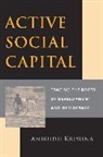 Anirudh Krishna, Anirudh Krishna, Krishna Anirudh - Active Social Capital
