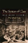 Amy Lang, Amy Schrager Lang, Lang Amy Schrager - The Syntax of Class