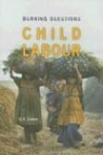 Georges Kristoffel Lieten - Child Labour: Burning Questions